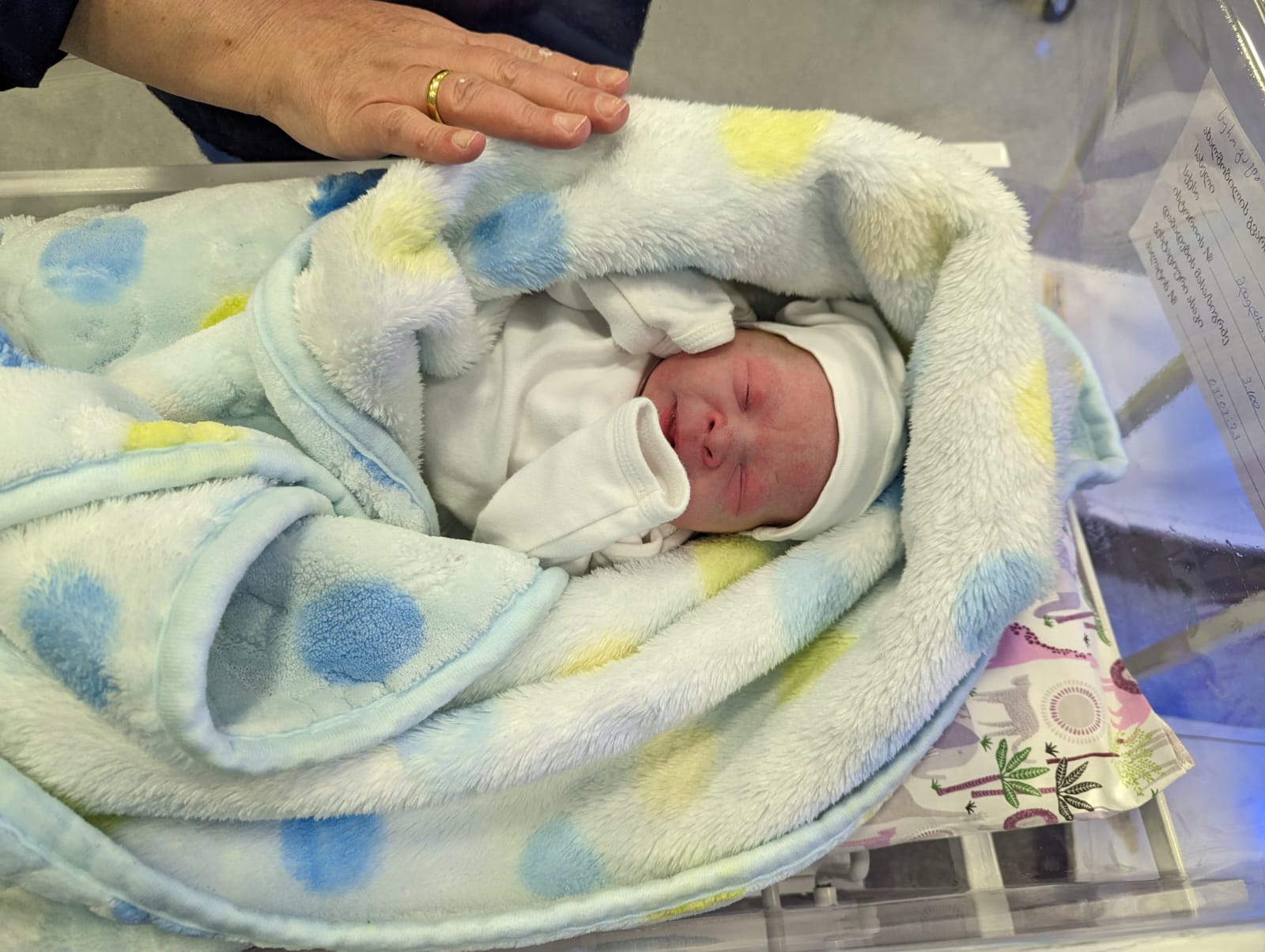 Children´s House International Surrogacy Program